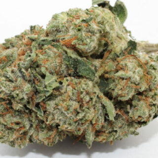 Tahoe OG is the perfect rainy day strain. Strong and fast-acting, you may not want to use this strain when you’re planning to leave the house. Great for those suffering from insomnia, pain, or lack of appetite, Tahoe OG has made a name for itself among other indicas. A top nighttime strain, it provides an extremely lazy, heavy body sensation. Due to superb breeding, Tahoe OG embodies all of the typical indica effects with an added euphoric, sativa-like kick. This strain features an earthy, lemon taste, and is a phenotype of OG Kush. Maturing at around 10 weeks, Tahoe OG is a must-try for those looking for a great night’s sleep.