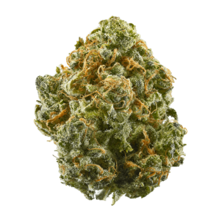 Blue Dream is a slightly sativa dominant hybrid (60% sativa/40% indica) strain that is a potent cross between the hugely popular Blueberry X Haze strains. This infamous bud boasts a moderately high THC level that ranges from 17-24% on average and a myriad of both indica and sativa effects.
