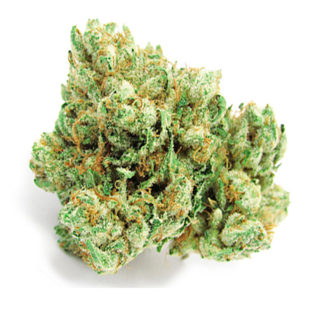 Skywalker is a popular strain across the United States, a hybrid with an even 50:50 sativa/indica ratio. Its THC levels top off at about 15 percent, making this an average to below-average strain in terms of potency. But it makes up for that with its mellow body high and mental clarity, plus a pleasing aroma and flavor. It's a cross of Blueberry and Mazar-I-Sharif, both famous strains in their own right. The high is mostly relaxed, with euphoria and a mood boost. This is a good strain for insomnia, as well as anxiety, ADHD, bipolar disorder, migraines, and PMS. It's particularly effective at pain relief. Dry mouth and red eyes are likely, while other adverse are much more limited. The taste of this strain is pungent and sweet, with earthy tones. Skywalker is most commonly found on the West Coast, in Arizona, and in Colorado. But it's relatively easy to find on any legal market, as well as the black market in many parts of the country. The indica stress relief of this versatile strain make it a good choice for patients looking for a break.