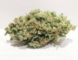 Banana OG is an indica-dominant cross of OG Kush and Banana. With a smell and flavor of overripe bananas, this hybrid definitely earns its name. Banana OG has has a reputation as a creeper, leaving those who over-imbibe in a near comatose state before intense hunger and sleepiness set in.