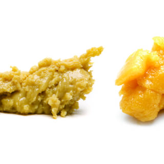 
One of the many consistencies for cannabis concentrates, identified by its malleable texture that looks and feels like cake frosting. Not all Badder looks the same, and the appearance depends on the starting material and methods of extraction. Some Badder is partly sticky, leaning towards the consistency of Sauce, while others look more like Crumble with a bumpier texture.
 
       “Take a dab of badder when the nail reaches 350-400 degrees Fahrenheit  to get the tastiest flavor.”