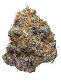 Purple OG Kush is a potent indica marijuana strain made by crossing OG Kush with Purple Kush. Purple OG Kush produces sedating effects that are intense and will envelope the mind and body quickly. The aroma of this strain is thick and musty, with undertones of berries and pine. Because Purple OG Kush will make you feel extremely sleepy and unfocused, this strain is ideal for nighttime use. This strain is not recommended for consumers with a low THC tolerance. Medical marijuana patients choose Purple OG Kush to relieve symptoms associated with insomnia.