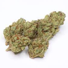 Biscotti is a potent indica-dominant hybrid marijuana strain made by crossing Gelato 25 with Sour Florida OG. This strain produces a cerebral high that leave consumers feeling relaxed, creative, and buzzy from head-to-toe. The effects of Biscotti are known to creep up on consumers, so it's best to take it slow with this strain. In terms of flavor, Biscotti tastes like sweet cookies with undertones of diesel. With a THC level of 21%, medical marijuana patients turn to this strain to relieve symptoms associated with stress, anxiety, and depression. According to growers, Biscotti flowers into small, dense buds marked by dark green and purple foliage with bright orange pistils. The striking trichome coverage of this strain gives it top shelf appeal. Biscotti was originally bred by Cookies Farms. If you've smoked, dabbed, or consumed this strain before, tell us about your experience by leaving a review.