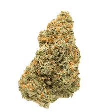 Jack Herer, a Sativa dominant hybrid, is very uplifting and easy to grow and can grow tall with long branches and thin leaves. Jack Herer will impress any new or experienced grower, with lab tests of up to 16.25%, the THC content of Jack Herer ranges from moderate to high. It is 70% Sativa, 30% Indica. Jack Herer is a heavy yielding strain. Jack Herer is good for pain, stress or insomnia. Also good for PTSD, ADD and ADHD.
