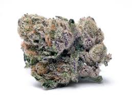Jack 'n Cheese is a weed strain. Reviewers on Leafly say this strain makes them feel tingly, giggly, and uplifted. Jack 'n Cheese has 18% THC and 1% CBG. The dominant terpene in this strain is myrcene. If you've smoked, dabbed, or otherwise enjoyed this strain, Jack 'n Cheese, before let us know! Leave a review.
