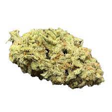 Dolato strain
Dolato, also known as "Do-Si-Lato" and "Dosi-Lato," is an indica marijuana strain made by crossing Do-Si-Dos with Gelato #41. Dolato has a beautiful range of colors in its colas—from light to dark green and red-wine purple to bright orange, all dusted with diamond-like trichomes.