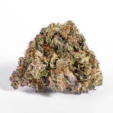 Tropical Slushee is an indica/sativa variety from Cannarado Genetics and can be cultivated indoors (where the plants will need a flowering time of ±63 days) and outdoors. Cannarado Genetics' Tropical Slushee is a THC dominant variety and is/was only available as feminized seeds.
Snowman x Papaya