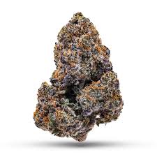 Lemon Cherry Gelato is an indica/sativa variety from unknown origin and can be cultivated indoors and outdoors. .
What do we know about the unknown/legendary Lemon Cherry Gelato?
Logo Unknown or Legendary
Lemon Cherry Gelato says a lot with just its name. This delicious candy hybrid was born and bred in California and has quickly become a hit across the USA and Canada. Popularized by Backpackboyz, Lemon Cherry Gelato boasts THC levels of up to 25% and citric candy aromas. Keep reading to learn more about this heavy-hitting hybrid, its effects, origins, and more.


Strain History of Lemon Cherry Gelato


Lemon Cherry Gelato is one of the many candy hybrid strains popularized by Backpackboyz—a Bay Area cannabis brand run by ex-MMA fighter Juan Quesada. After being in and out of jail multiple times, Juan Quesada decided to carve out a career in MMA in 2008, achieving a 4–2 (win-loss) record in Bellator MMA and West Coast Fighting Championship. Around 2016, Juan Quesada founded a Prop 215 cannabis delivery service out of Pittsburgh, California.


Shortly after starting his operation, Juan Quesada partnered with entrepreneur, rapper, and cannabis mogul Bully Whiz. Together, they created and popularized the Backpackboyz brand and its flagship strains, including Backpackboyz 33, Apple Mintz, and Lemon Cherry Gelato. Like Runtz, Cookies, and other contemporary US cannabis brands, Backpackboyz strains boast incredibly high potency and exotic candy and dessert flavors.


In late 2019, Backpackboyz' Lemon Cherry Gelato became an almost instant hit across the US after being sold at a Cookies dispensary in Los Angeles. Ever since, Lemon Cherry Gelato has become a household name across the US and Canada, as well as gaining popularity among smokers in other parts of the world. In 2021, the strain won 2nd Place in the Medical Category at the High Times Medical Cup in Michigan.


Genetic Lineage of Lemon Cherry Gelato


Lemon Cherry Gelato is a high-potency cannabis variety brought about by a cross of two world-renowned strains; Sunset Sherbet and Girl Scout Cookies.


Sunset Sherbet, also known as Sherbet OG, is an indica-dominant hybrid treasured for its vibrant candy aroma. Well-cured Sherbet buds boast a pungent smell that combines sweet citrus, ripe berries, and dank notes of Skunk. As you'd expect from such a smelly strain, Sunset Sherbet is also super potent, producing a full-body effect that'll relax and induce a carefree mental state.


Lemon Cherry Gelato's second parent is GSC (Girl Scout Cookies), a beloved strain with a global reputation and a long list of awards. As the name suggests, GSC offers dessert-like flavours alongside the unmistakable aroma of sweet cherry, mint and lemon. It’s also a fan-favourite among medicinal users thanks to its strong THC levels and body-centric high.


Physical Characteristics of Lemon Cherry Gelato


Lemon Cherry Gelato is an indica-dominant cannabis strain that generally grows into a moderately-sized plant with broad, moss-green foliage. Little information is available about the physical characteristics of this strain. Still, numerous sources and growers have remarked that Lemon Cherry Gelato produces very few leaves—something most will enjoy when it's finally time to trim their plants!


Come harvest time, Lemon Cherry Gelato plants become loaded with extremely dense flowers. Indicative of her indica-dominant genetics, Lemon Cherry Gelato produces small buds made up of tightly packed calyxes, each covered in a thick layer of trichomes and dotted with golden pistils. Depending on how and where she's grown, Lemon Cherry Gelato may develop beautiful purple hues, adding to the appeal of her flowers.


Properties And Effects of Lemon Cherry Gelato


Backpackboyz prides itself on producing strains with ambitious THC levels. And Lemon Cherry Gelato is no exception. While THC levels may vary from one batch of seeds to another, Lemon Cherry Gelato typically produces up to 25% THC! Combined with a rich concentration of terpenes (predominantly caryophyllene, limonene, and humulene), Lemon Cherry Gelato flowers can produce intense effects almost immediately.


One toke is usually all it takes for Lemon Cherry Gelato's effects to take over your entire body. Expect an immediate feeling of warmth and relaxation to wash over your torso and out into your extremities. At the same time, tension and negativity are flushed out of your mind almost instantly. Within minutes, you'll likely feel tingly, happy, and incredibly hungry, so be sure to keep some snacks on hand. The effects of Lemon Cherry Gelato typically last for several hours and will leave even experienced smokers in a happy, lazy trance.


Uses of Lemon Cherry Gelato


Lemon Cherry Gelato is a highly potent cannabis strain not for the faint-hearted. Nonetheless, it's very popular among both recreational and medical cannabis users.


Given its balance of physical relaxation and mental euphoria, Lemon Cherry Gelato can be used during the day and evening, depending on your tolerance. Users describe the strain's effects as very heavy while still leaving you functional enough for chores and creative tasks if you can handle a high dose of THC.


In general, recreational smokers report using Lemon Cherry Gelato:


• To boost creativity and productivity during the day

• To relax after work

• To spark conversation when smoking with others

• As a natural and potent nightcap


Given its potency and balanced effects, Lemon Cherry Gelato is also very popular among medical cannabis patients—especially those needing long-lasting relief from chronic symptoms. Remember that, like all high-THC cannabis strains, Lemon Cherry Gelato can cause unwanted side effects in some people.


While these effects are usually temporary, they can be unpleasant, especially for smokers with a low tolerance. Some of the most common side effects of Lemon Cherry Gelato include dizziness, couch lock, anxiety and paranoia.


Cultivation/Production of Lemon Cherry Gelato


Lemon Cherry Gelato by Backpackboyz isn't available in clone or seed form. However, various seedbanks offer their own versions of Lemon Cherry Gelato seeds. In general, Lemon Cherry Gelato seeds are indica-dominant and produce fast-flowering, easy-to-grow plants. Lemon Cherry Gelato is well-suited to indoor growing, though it can also be cultivated outdoors. Just be sure to keep these plants out of the rain, as their dense flowers are more susceptible to bud rot in humid conditions.


Lemon Cherry Gelato plants reach average heights, though they typically stay nice and short if grown in small pots. They also respond well to training and are relatively resistant to stress, pests, and pathogens. Lemon Cherry Gelato can stretch considerably once she starts flowering and should be harvest-ready after 8–10 weeks of bloom. Her yields are modest, though this will vary depending on your growing style and skill.


Lemon Cherry Gelato: A Testament To LA Glamour


Lemon Cherry Gelato is a hard-hitting, THC-loaded hybrid by Backpackboyz. Bred from Sunset Sherbet, Thin Mint Cookies, and Lemon Haze, this strain boasts great genetics, vibrant candy aromas, and plenty of potency. If you've been interested in savoring the flavors, aromas, and effects of top-shelf Cali weed, Lemon Cherry Gelato is definitely worth trying.