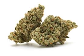 Here you can find all info about Extreme Cream from Exotic Genetix. If you are searching for information about Extreme Cream from Exotic Genetix, check out our: Basic infos, Gallery, Degustation, Awards, Strain Reviews, Direct Comparisons, Lineage / Genealogy, Hybrids / Crossbreeds, User comments, Videos, for this cannabis variety here at this page and follow the links to get even more information. If you have any personal experiences with growing or consuming this cannabis variety, please use the upload links to add them to the database!
Basic infos
Extreme Cream is an mostly indica from Exotic Genetix and can be cultivated indoors and outdoors (Where the plants will need a flowering time of ±60 days) Exotic Genetix's Extreme Cream is/was never available as feminized seeds.
Exotic Genetix Description
Genetics: Extreme OG x Cookies & Cream
Flowering Time: 56-63 Days